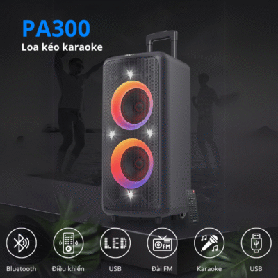 PA300