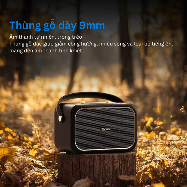 Loa Bluetooth F&D RW40 – Thiết Kế Retro, Âm Thanh 360°, Pin 20H